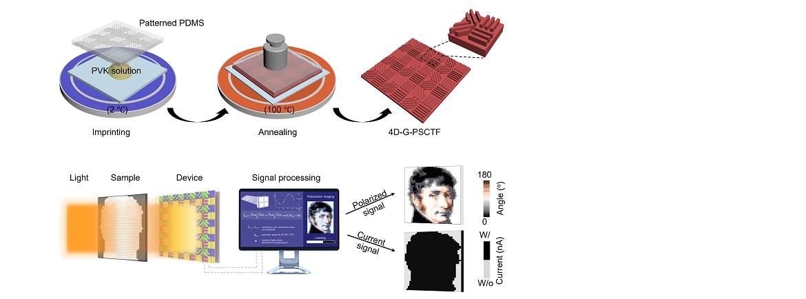 Researchers Develop Polarization Photodetector Mimicking Desert Ant