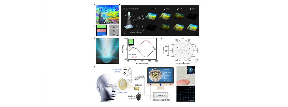 Chinese Researchers Make Breakthrough in Artificial Chiral Structural-Color Microdomes