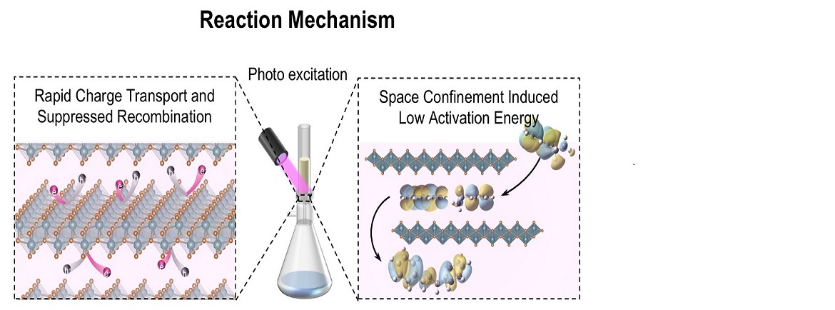 New 2D Membrane Reactor Revolutionizes Photocatalytic Synthesis